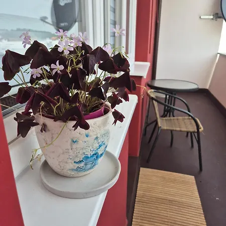 Apartman Srbac